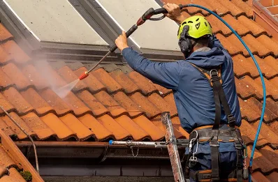 Démoussage et hydrofuge de toiture à Thiétreville